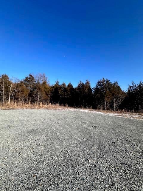 14 Weatherby Ln, Farmington, MO 63640 - photo 5