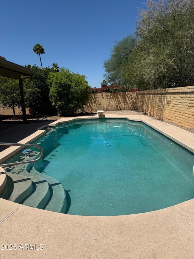 Pool - 10580 E San Salvador