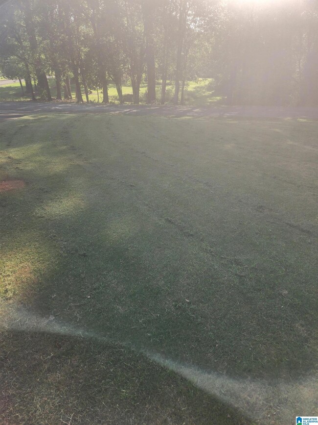 101 Silverwood Dr unit Lot 1, Talladega, AL 35160 - photo 4