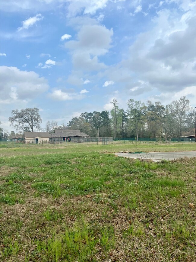 18954 Moorhead Rd, Conroe, TX 77302 - photo 6