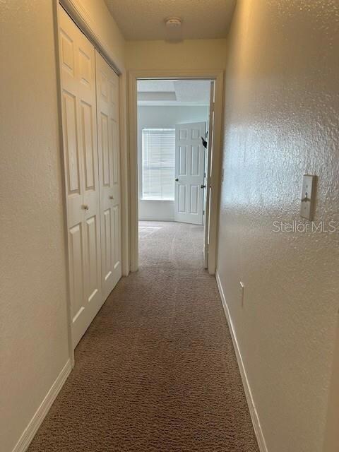 18001 Richmond Place Dr unit 431, Tampa, FL 33647 - photo 5