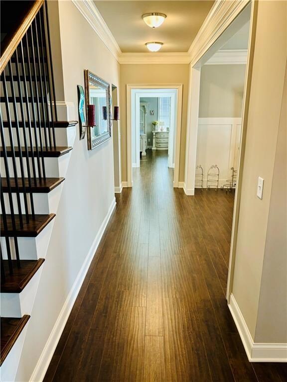 Hall with ornamental molding and dark hardwood / w