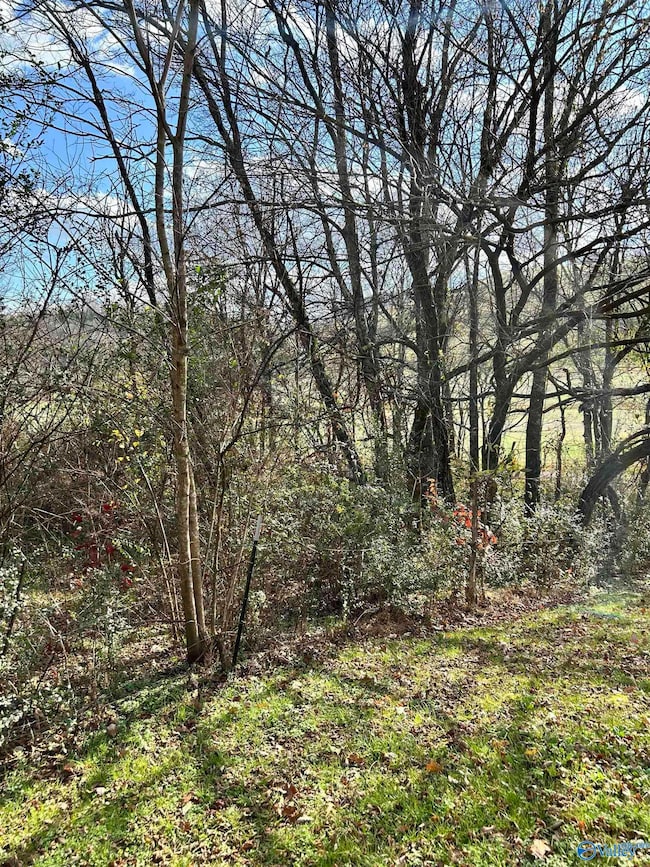 6206 Beech Hill Rd, Pulaski, TN 38478 - photo 7