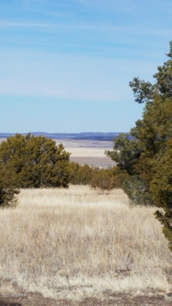 20190210_133909_resized