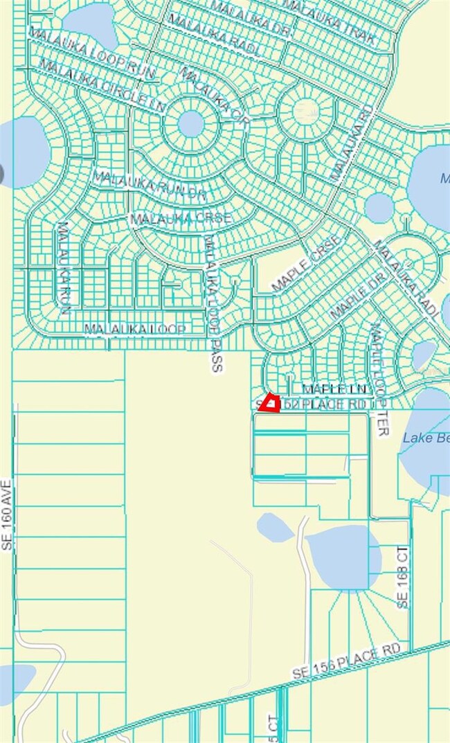 0 Maple Ln unit Lot 14 MFROM697281, Ocklawaha, FL 32179 - photo 5