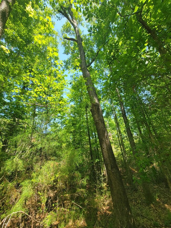 0 S Hwy 27 unit 27320, Geneva, AL 36340 - photo 6