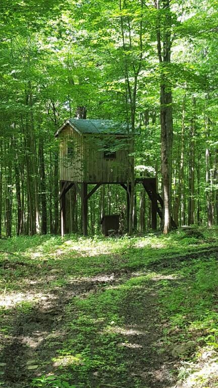 00 Baldwin Rd, Schenectady, NY 12302 - photo 3