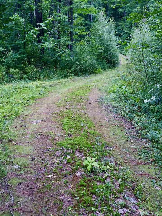 Lot R06-48 Straits, New Hampton, NH 03256 - photo 4