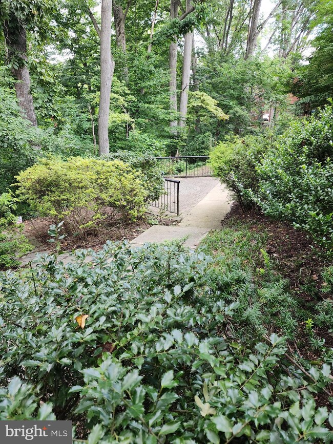 Sligo Station Condominium unit 322, Takoma Park, MD 20912 - photo 5