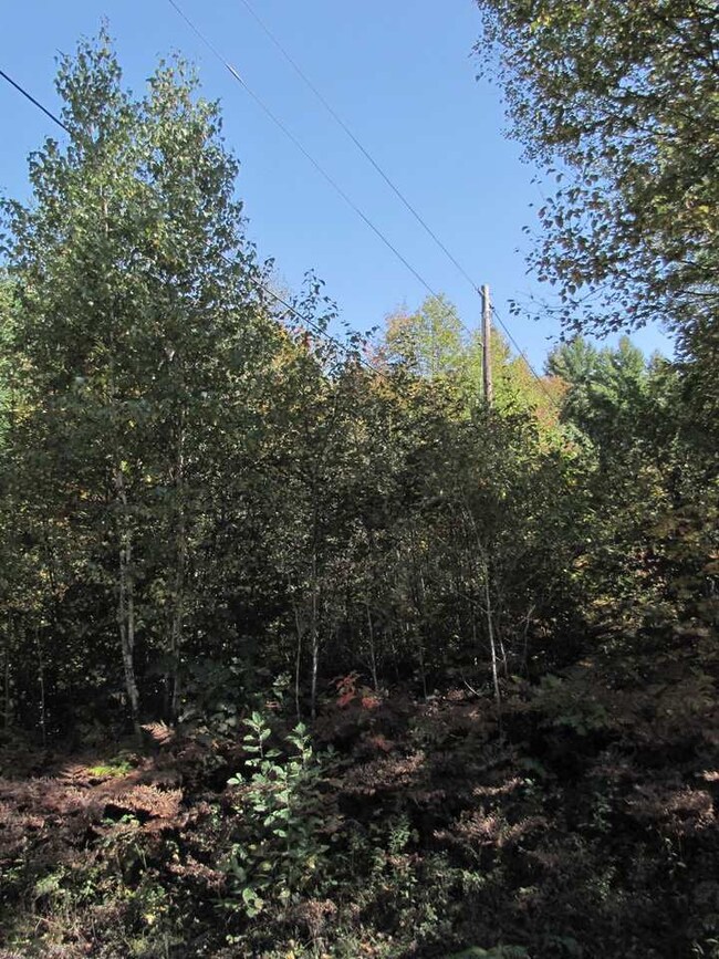 000 Skinny Ridge Rd unit Lot  7, Lyman, NH 03585 - photo 3