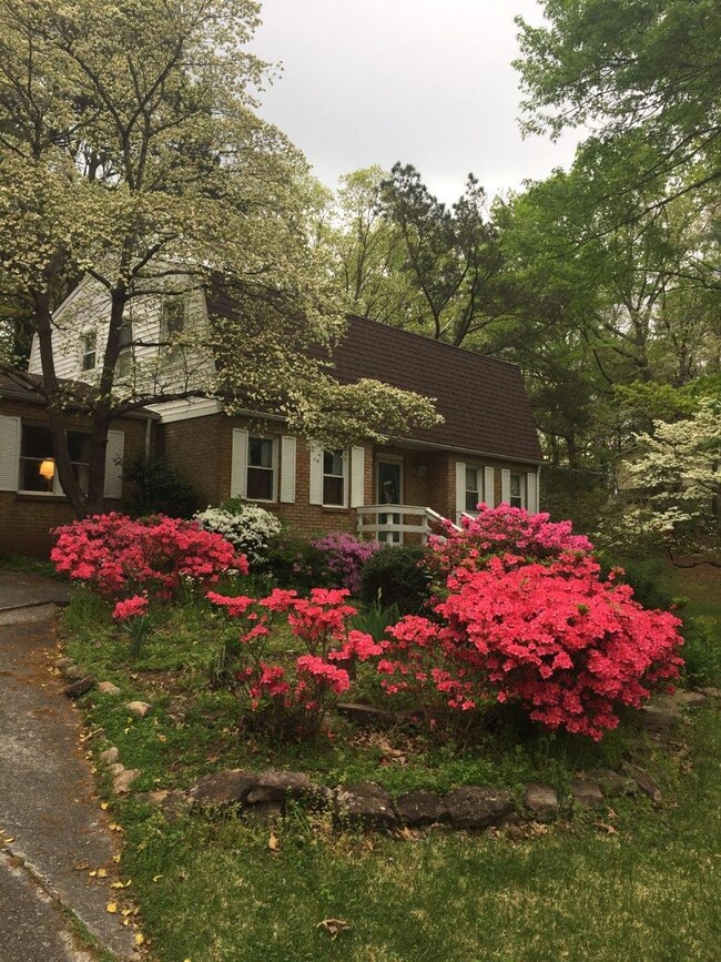dogwood 2