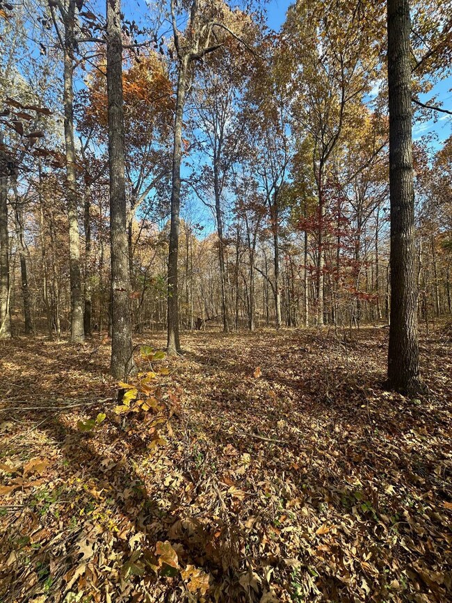 Parcel 086-00-00-027 001 Morgan Rickard Ln, Central City, KY 42330 - photo 7