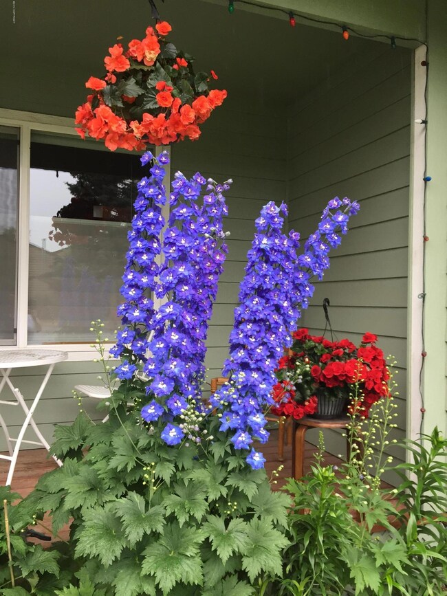 3302 Oregon Dr unit 1, Anchorage, AK 99517 - photo 2