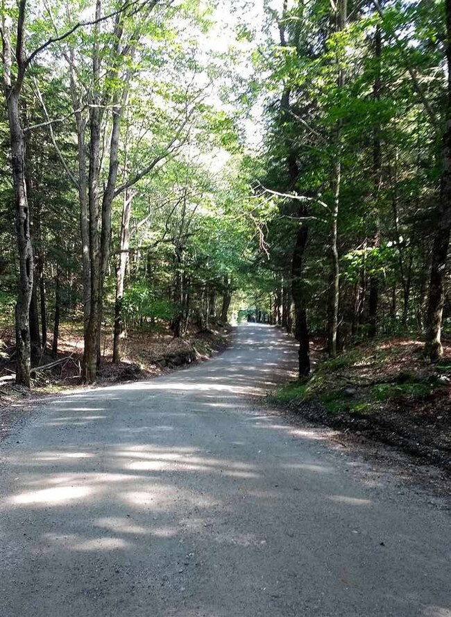 89 Snow Rd unit Lots 7 & 8, Dover, VT 05341 - photo 5