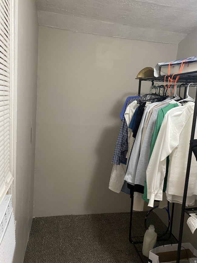 Walk in closet featuring carpet. APT 1