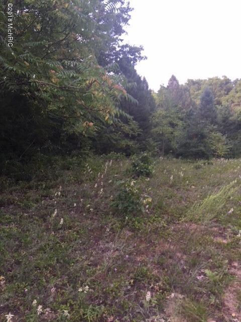 5151 Pine Island Dr NE unit Lot C, Comstock Park, MI 49321 - photo 3