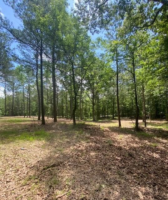 View of wooded area