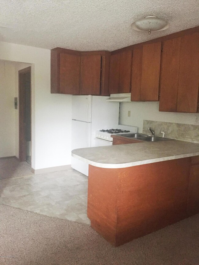 3905 Iowa Dr unit 1, Anchorage, AK 99517 - photo 2