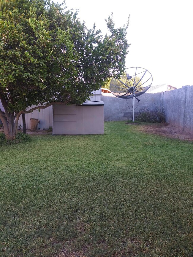 Grass Yard