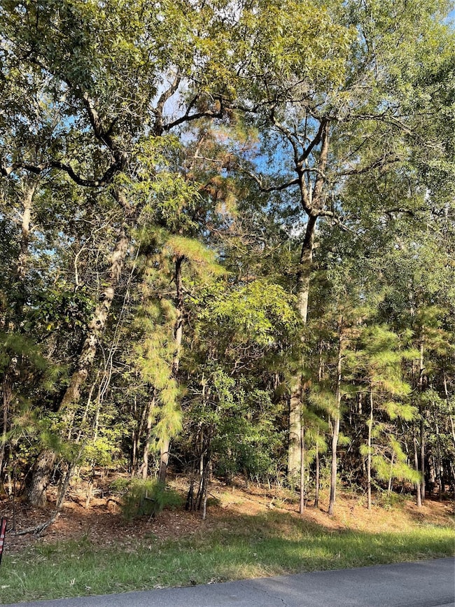 0000 Vickie Ln, Magnolia, TX 77354 - photo 3