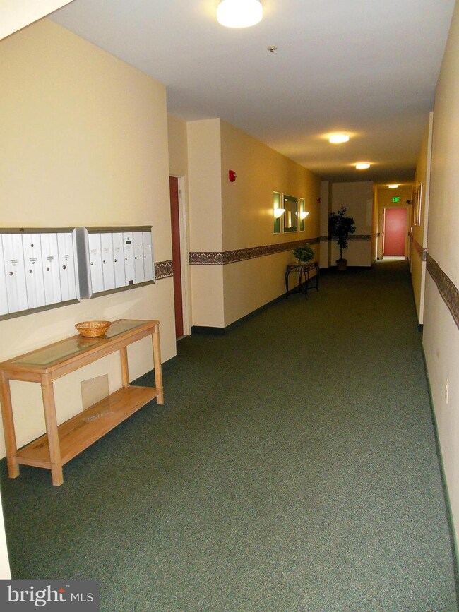 9203 Groffs Mill Dr unit 9203, Owings Mills, MD 21117 - photo 6