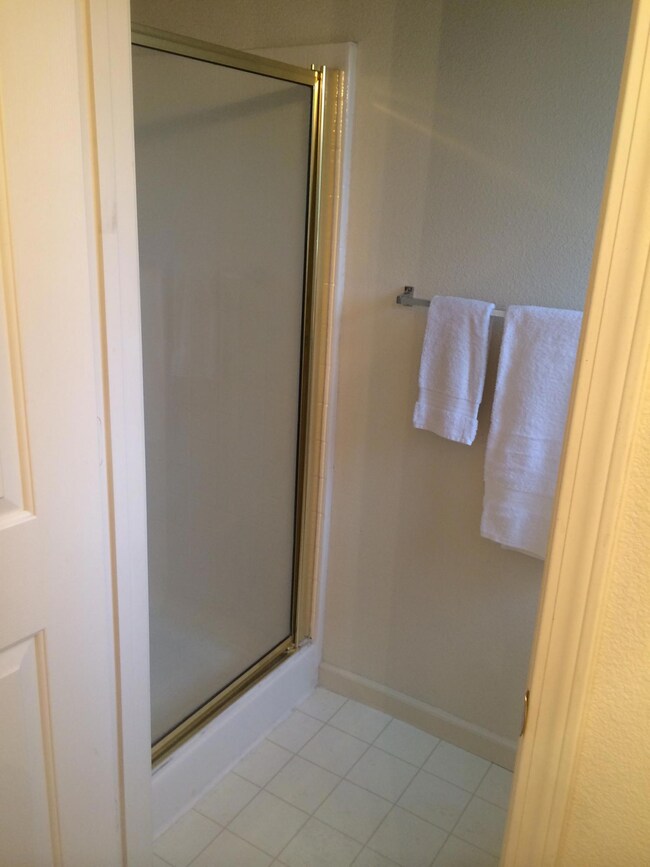 Stetson Master Shower