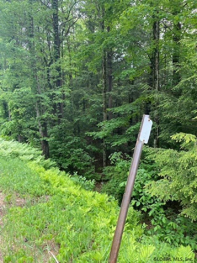 0 Parker Rd unit 202119719, Hadley, NY 12835 - photo 3