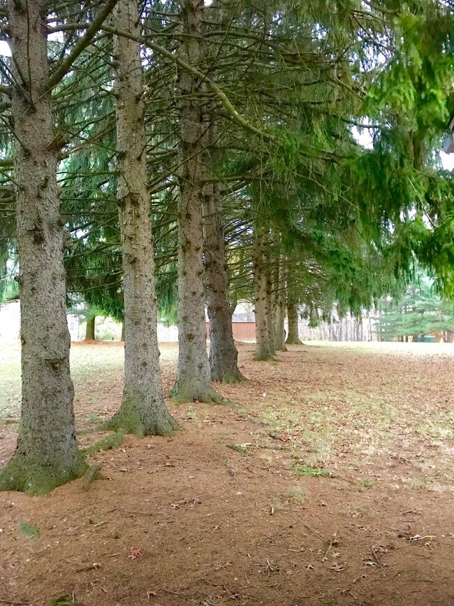 C48AFC1F-07DF-4F27-8FE9-CD18A9FF6389