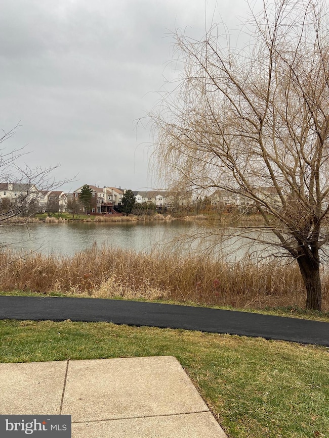 20590 Cornstalk Terrace unit 302, Ashburn, VA 20147 - photo 3