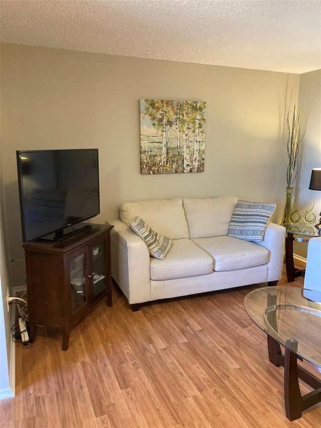 6080 80th St N unit 409, Saint Petersburg, FL 33709 - photo 5