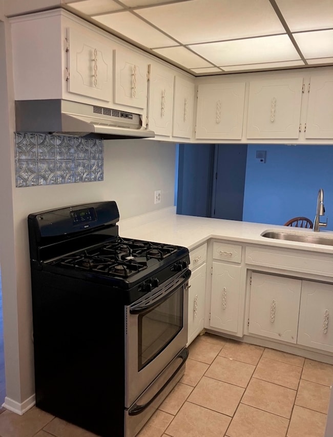 7537 175th St unit 534, Tinley Park, IL 60477 - photo 7