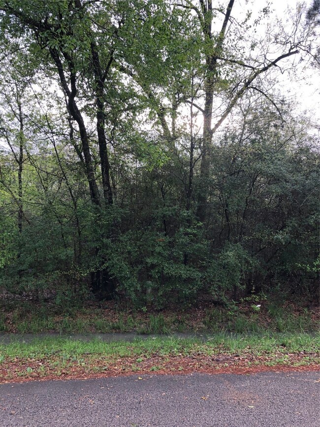 Lot 28 29 Cherokee Ln, Magnolia, TX 77354 - photo 6