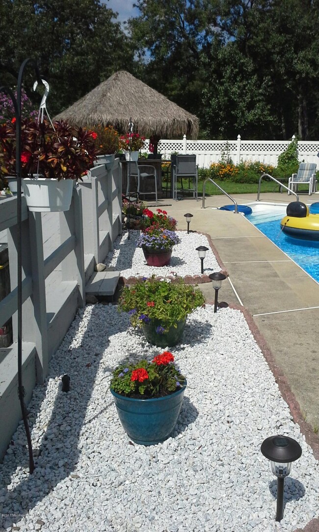 backyard 4