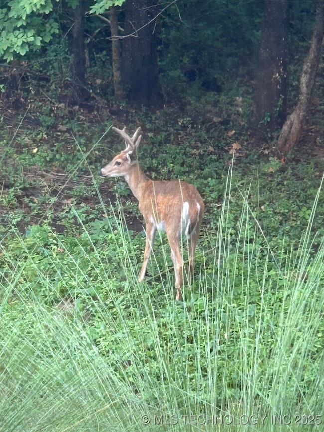 2125 W 73rd St, Tulsa, OK 74132 - photo 5