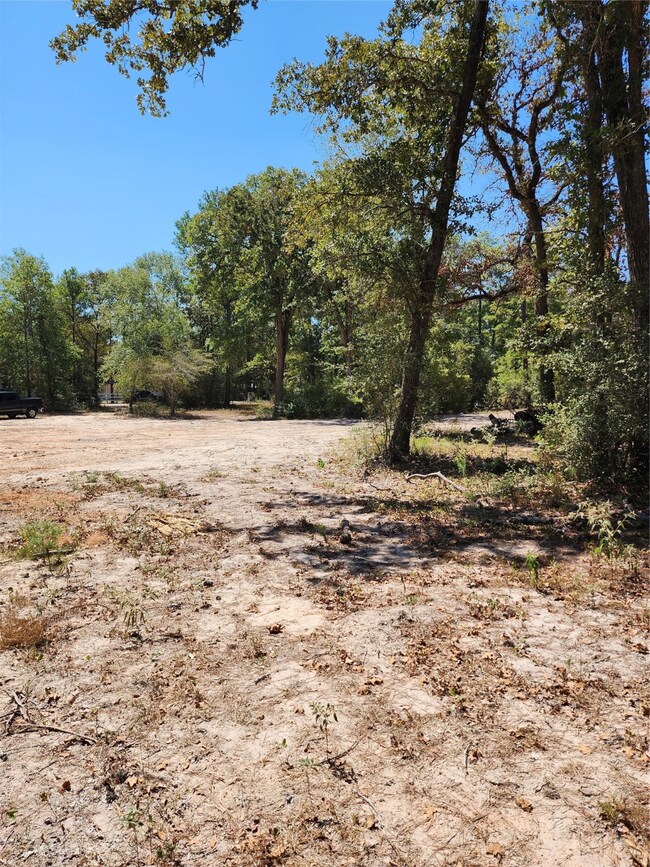 26425 Joseph Rd, Hockley, TX 77447 - photo 6