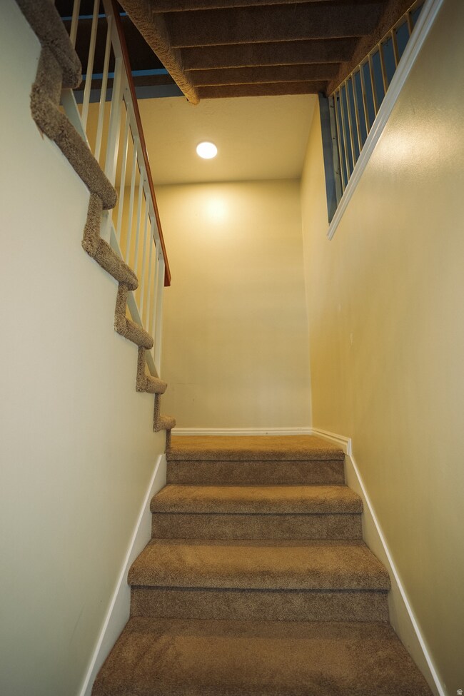 Staircase with carpet and baseboards