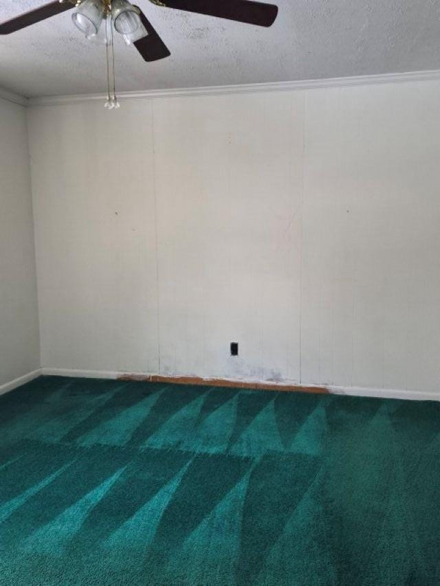 353 Clarks Hill Ln, Schuyler, VA 22969 - photo 5