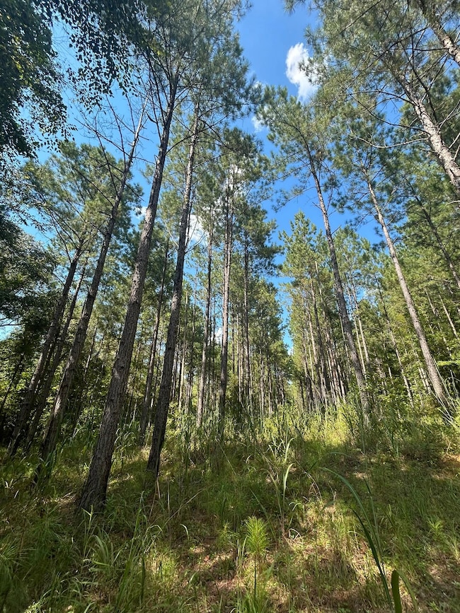 unlisted-address, Abbeville, AL 36310 - photo 7