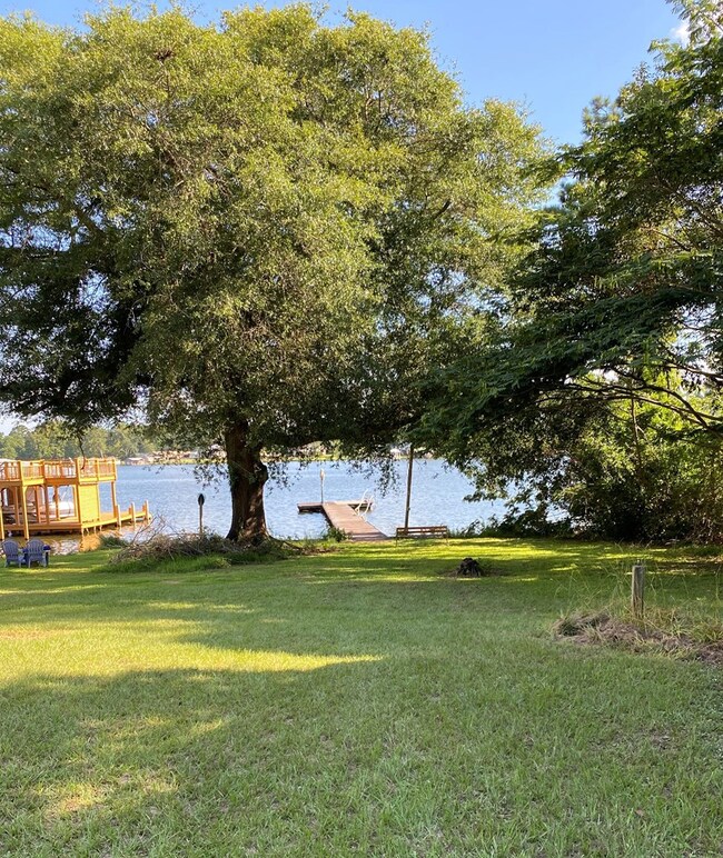 Community lot