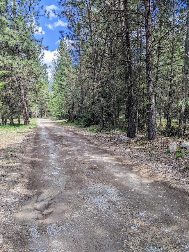 NHN Little Deer Dr, Plains, MT 59859 - photo 3