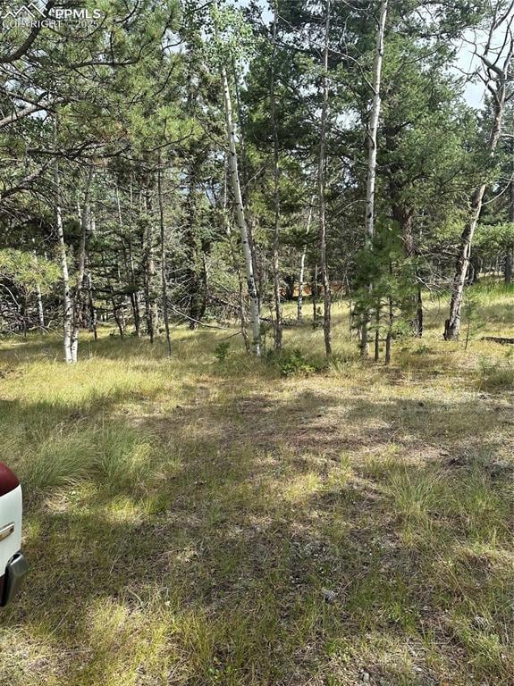 17 and 33 Deer Ridge Trail, Florissant, CO 80816 - photo 7