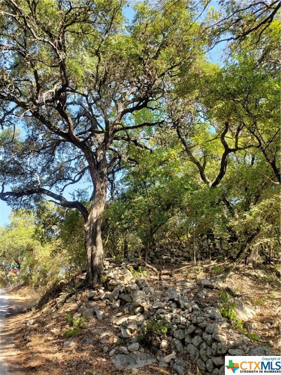 TBD Gruene Rd, New Braunfels, TX 78130 - photo 2