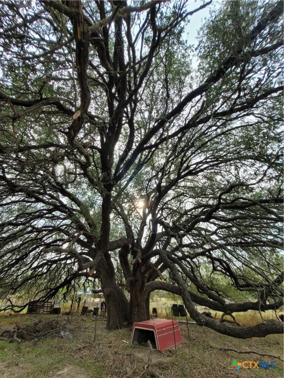 1145 County Road 4006, Lampasas, TX 76550 - photo 5