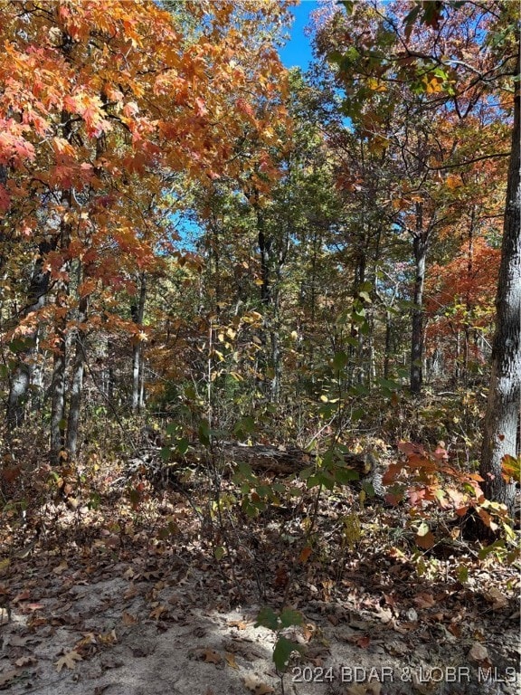 10.4 ac State Highway T, Stover, MO 65078 - photo 4