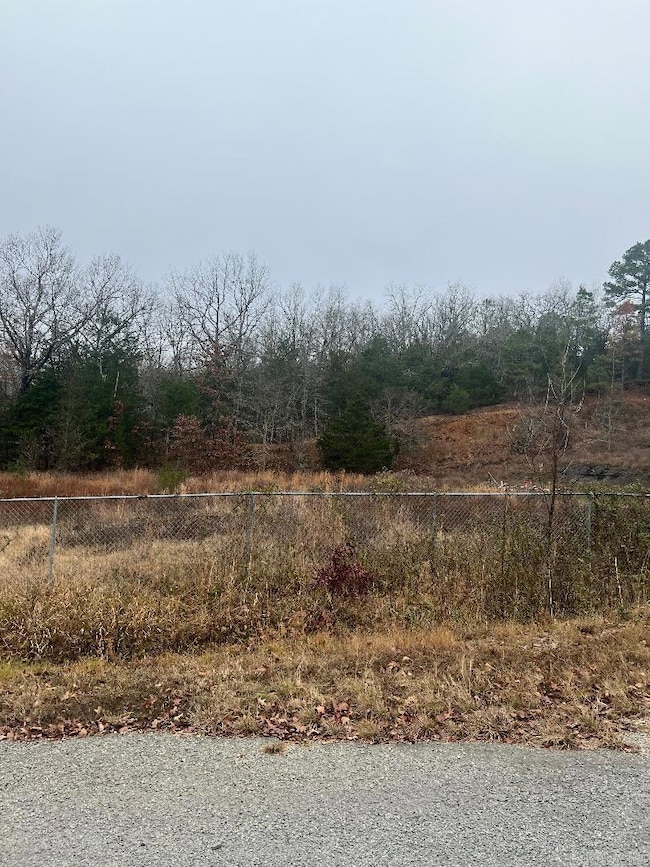 Lot 9 of BLK 9 Martha St, Jacksonville, AR 72076 - photo 2