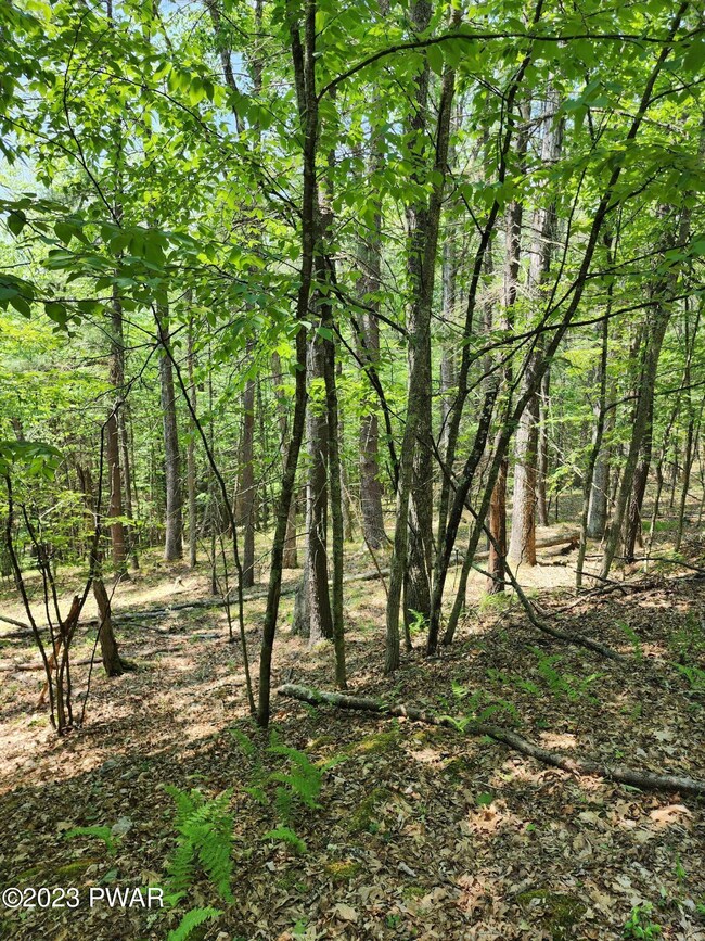 0 Lots 387 & 388 Creek Ct unit PWBPW231745, Hawley, PA 18428 - photo 5