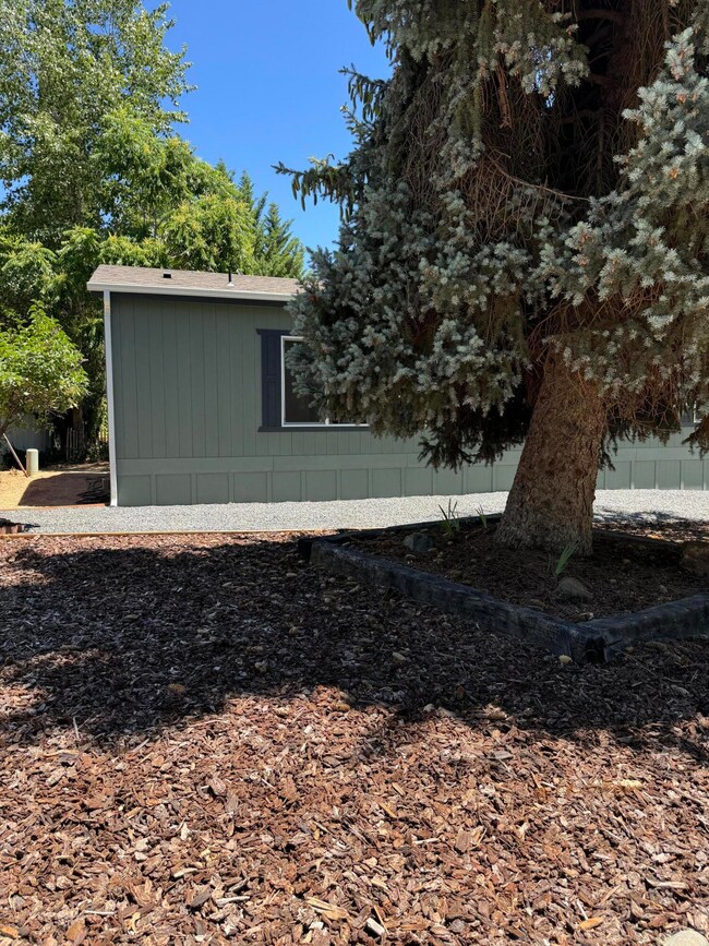 1055 N 5th St unit 103, Jacksonville, OR 97530 - photo 7