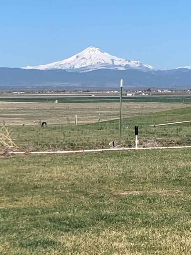 2660 SW Highland Ln, Culver, OR 97734 - photo 6