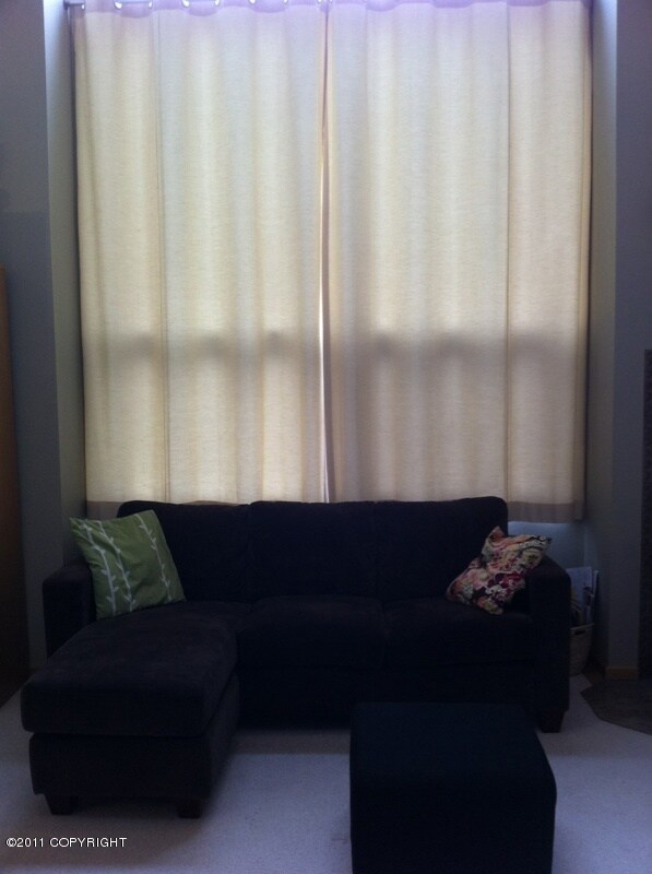 Tall, tall windows in living room