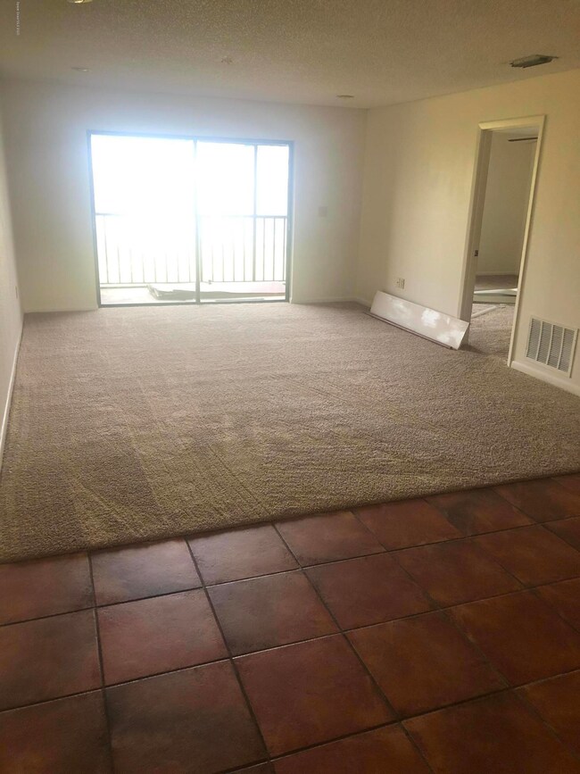 Canebreakers 204 (1)